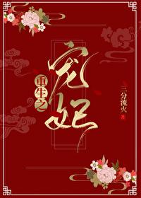 重生之宠妃